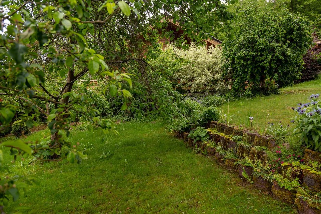 Ferienhaus Weitblick Altenbrak Eksteriør bilde